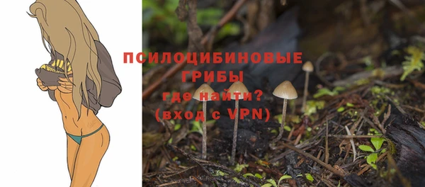 гидропоника Белокуриха