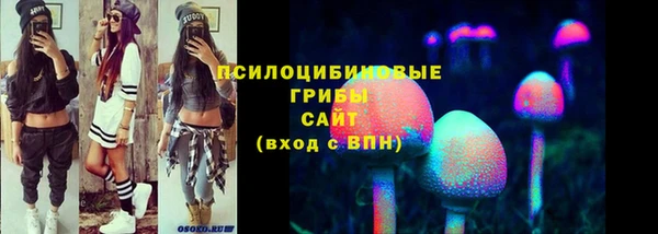 гидропоника Белокуриха