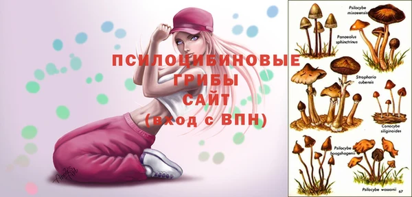 Альфа ПВП Беломорск